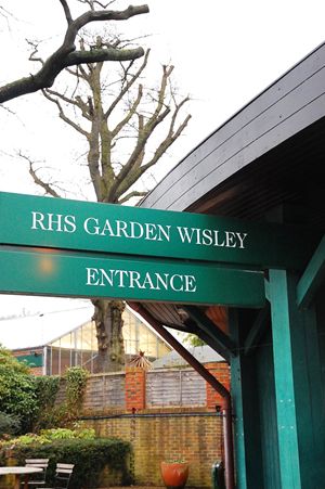 Wisley Garden 016_R