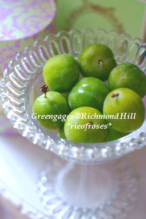 Greengages 004