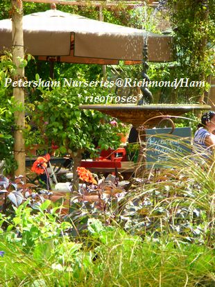 Petersham Nurseries cafe