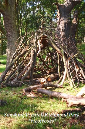 Tree house