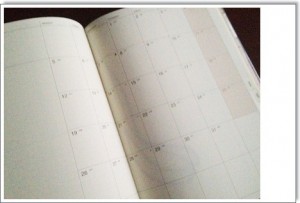 手帳の中はぜったいに！　月間のスケジュールがひと目で見れるカレンダー入りと・・・