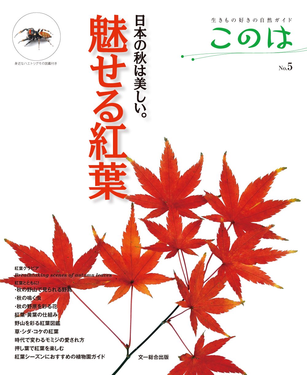 紅葉シーズンにオススメの一冊 魅せる紅葉 朝時間 Jp