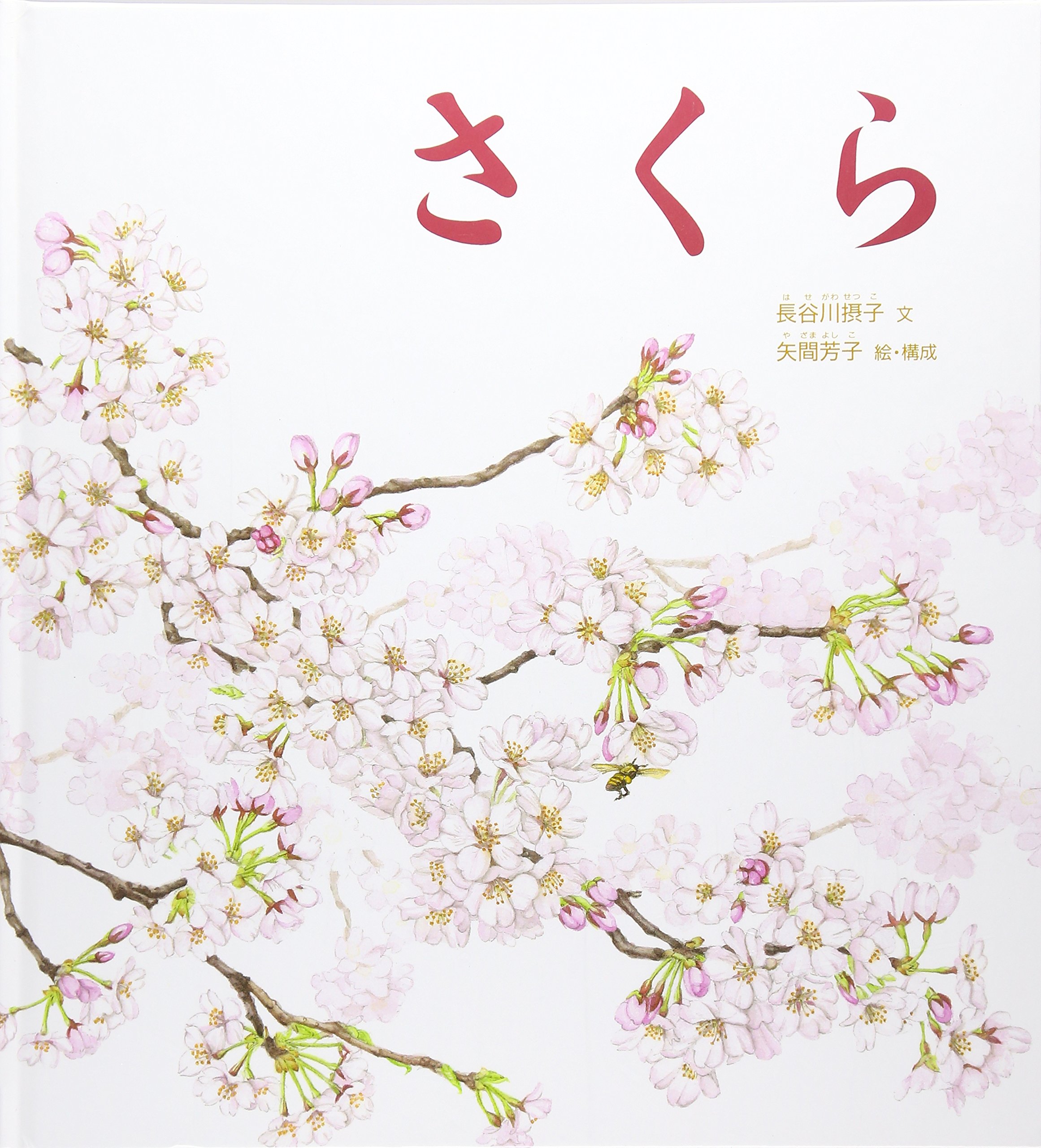 桜の一年を描いた美しい絵本『さくら』 - 朝時間.jp