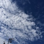 秋支度のはじまり