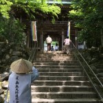 五月の大窪寺