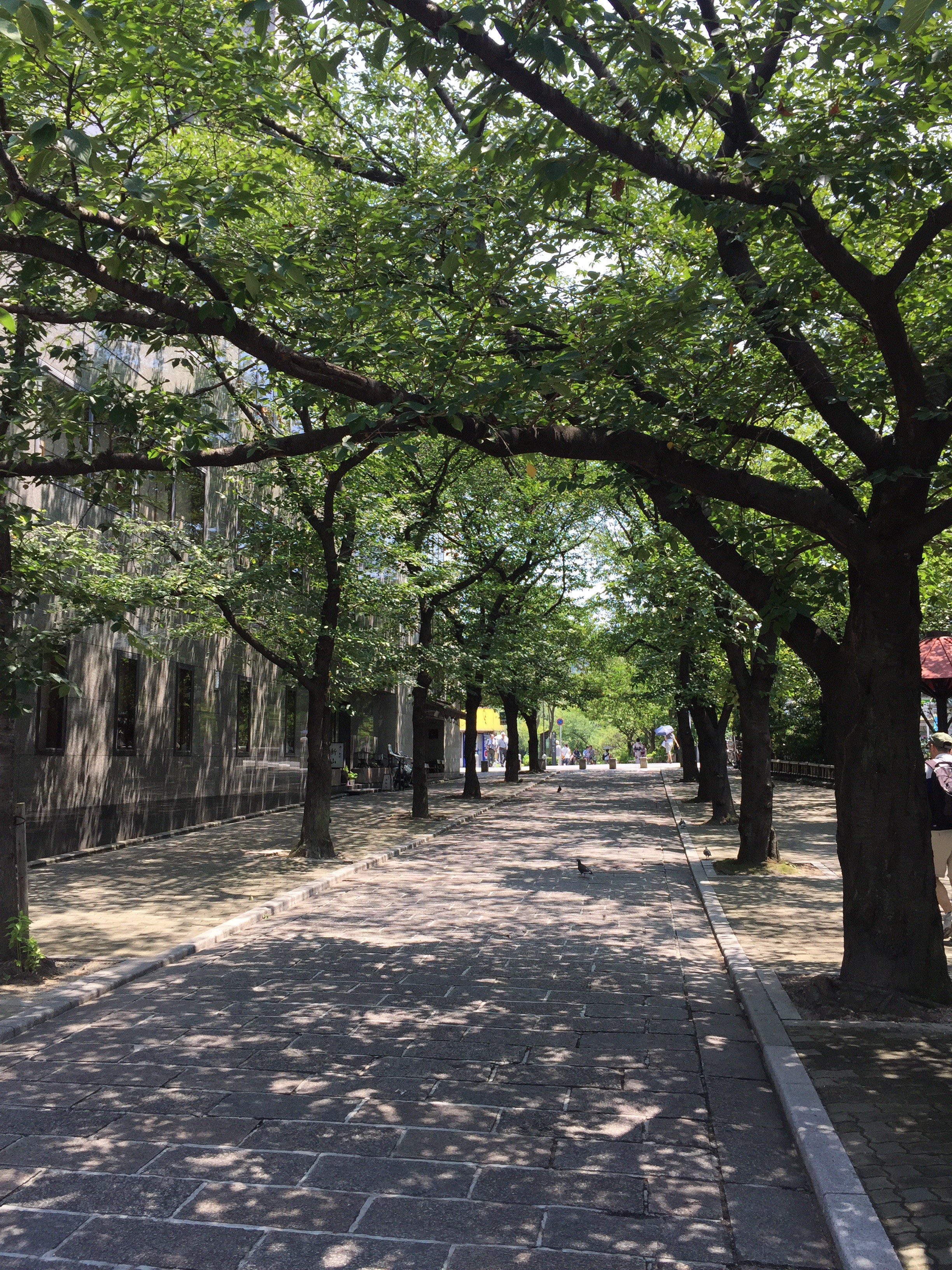 日本の古都に魅せられて早起き朝活♪