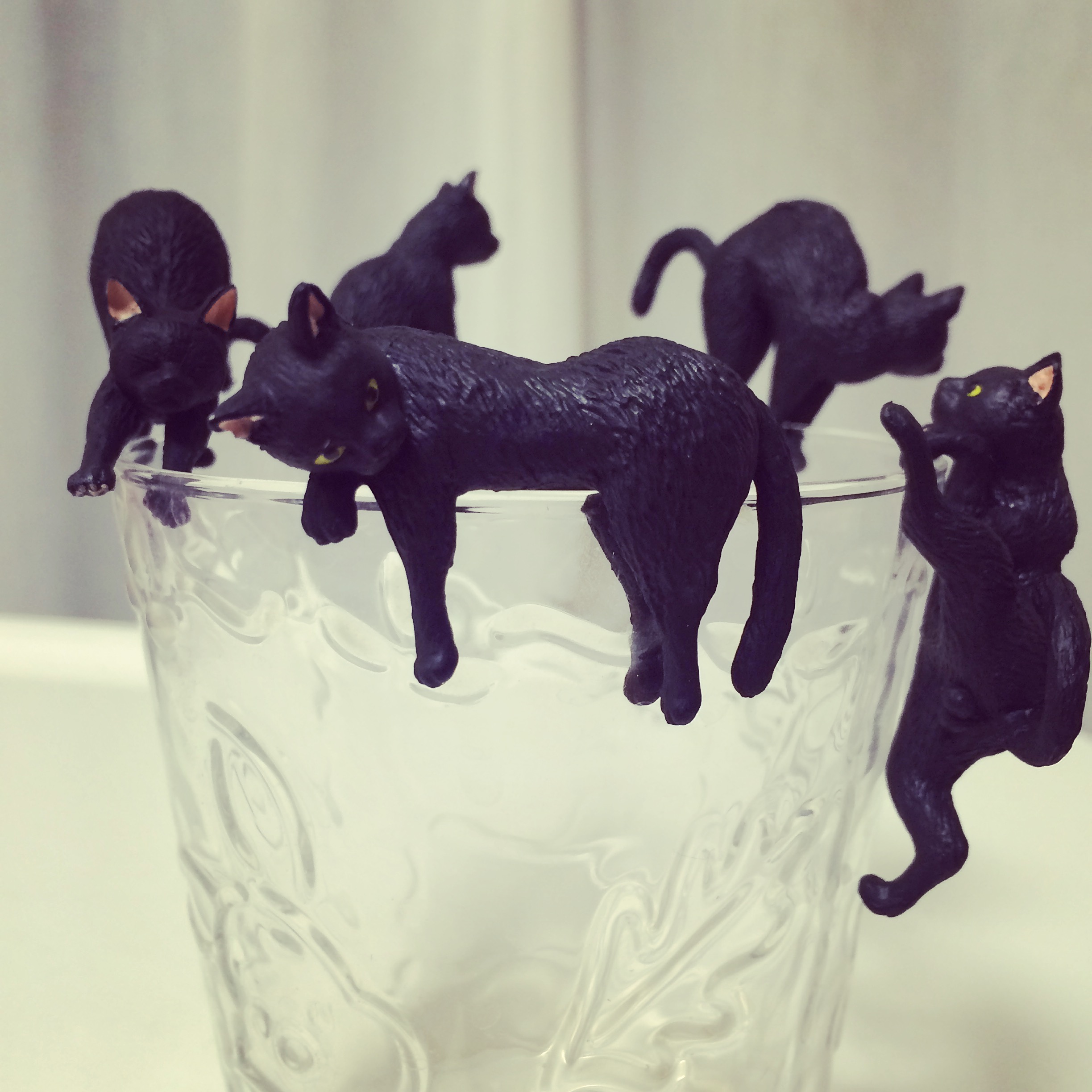 「ふちねこ」コンプリート!