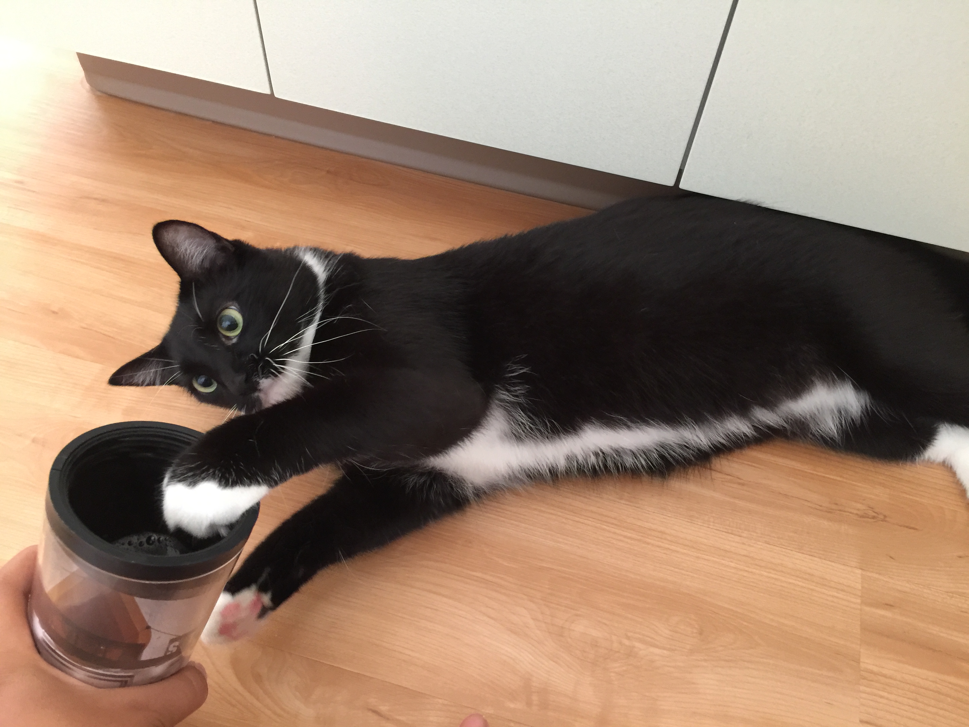 湯シャンよりも塩シャン 塩浴を実験中 朝時間 Jp