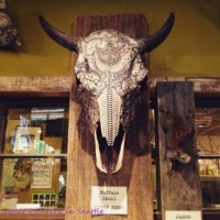 【朝のひとこと英会話 vol.131】「そんなもんだよ」を英語でいうと？