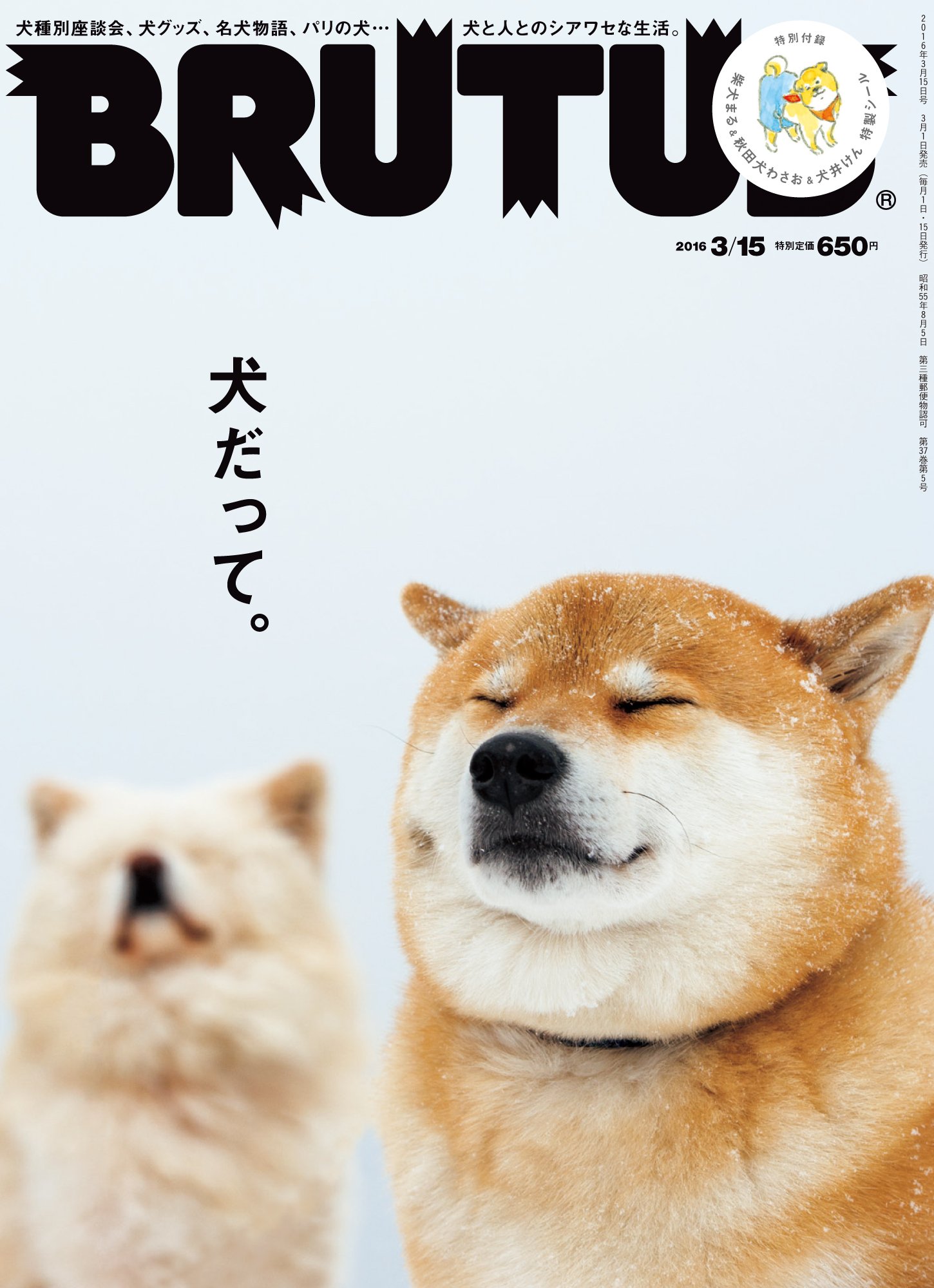 犬と人とのハッピーな関係って Brutus大特集 犬だって 朝時間 Jp