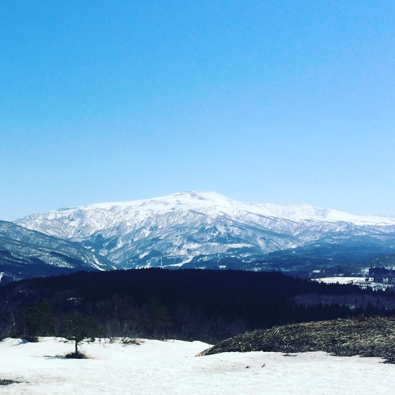 山伏（やまぶし）と一緒に山を登る
