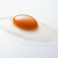 ［あしたの朝ごはん］第42話：最高においしい卵かけご飯