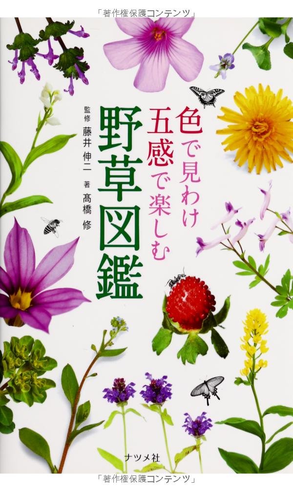 野に咲く花を好きになる『色で見分け五感で楽しむ野草図鑑』 - 朝時間.jp