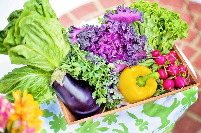1日350gの野菜を食べるコツと7つのルール