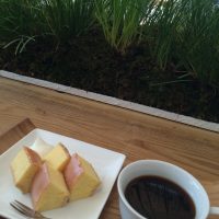念願の②:たねや&クラブハリエ 店舗限定のもの