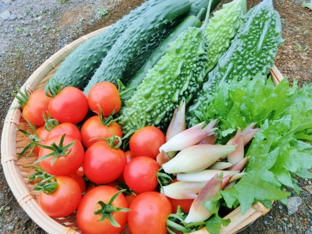 今日は「芒種」(ぼうしゅ)。その意味は？【新連載：今日のヒント】