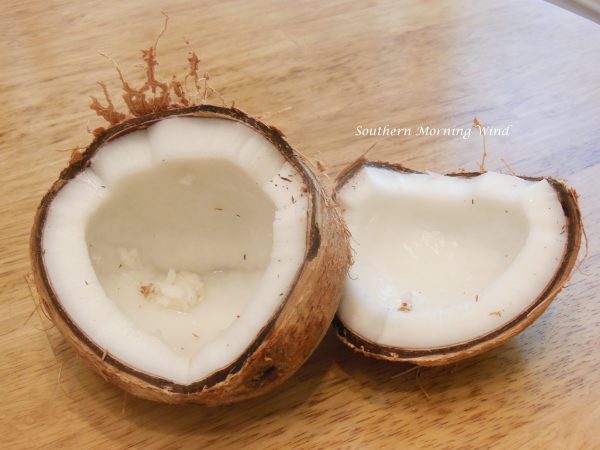 coconut open1