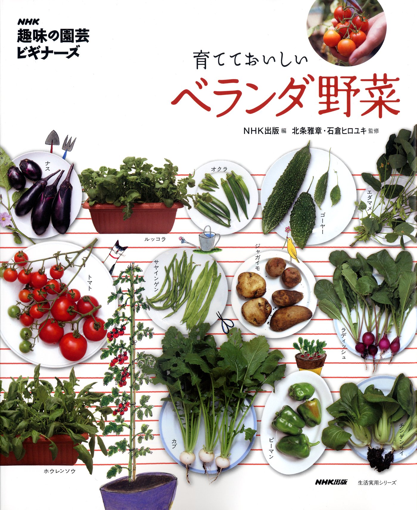 朝、とれたての一皿をキッチンに!ベランダで野菜を育てたくなる本
