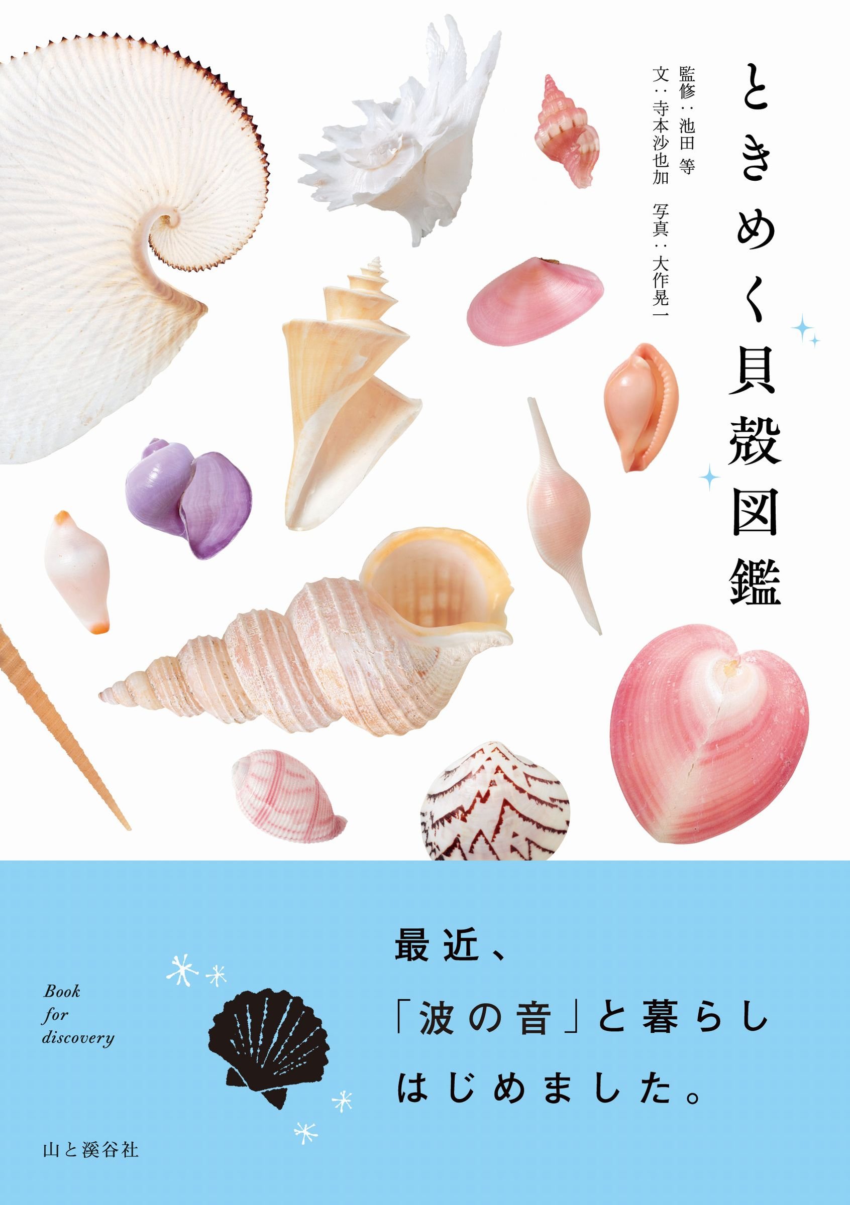 朝は貝殻を探しに。波の音と暮らしたくなる本『ときめく貝殻図鑑』