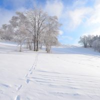 「雪山」を2単語の英語で言うと？