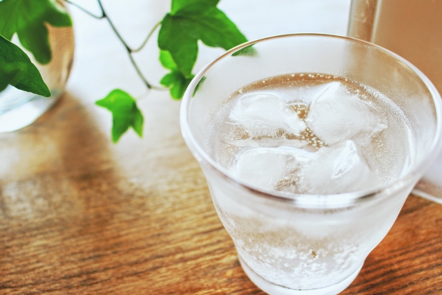 「〇〇入り」が意外！スタバの新しいノンカロリー炭酸ドリンク♪
