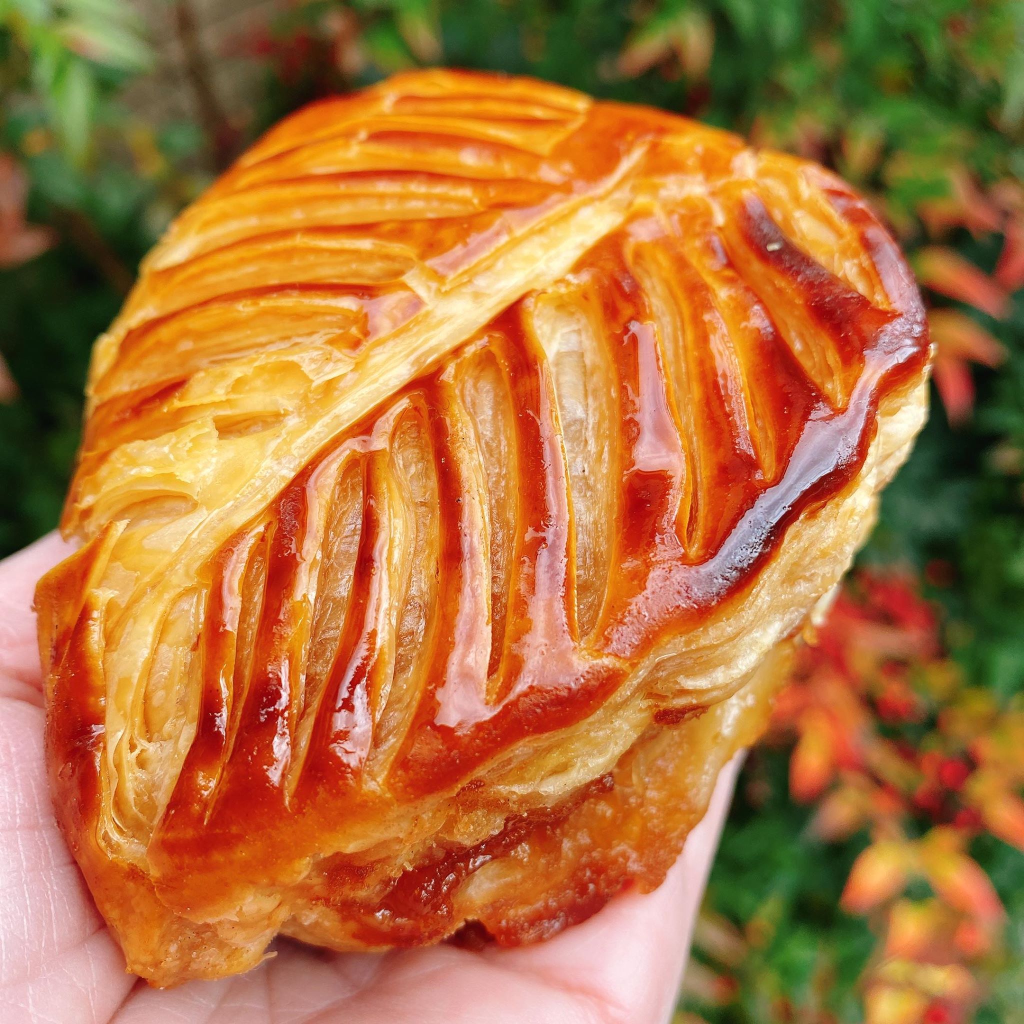 根津】本場フランスの味が楽しめる！オープンしたてのパン屋さん「レ