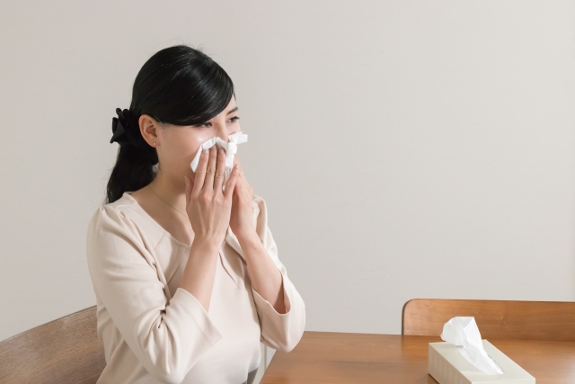「花粉」を英語で言うと？