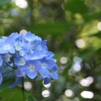 「にわか雨」を1単語の英語で言うと？