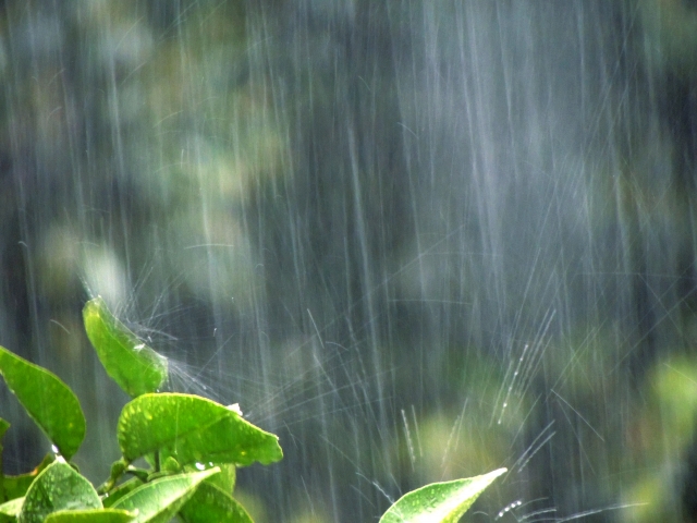 「ゲリラ豪雨」を2単語の英語で言うと？
