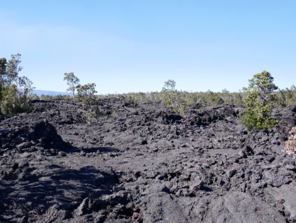 キラウエア火山の溶岩