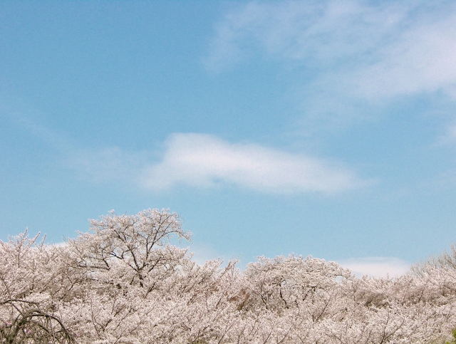 「雲」を英語で言うと?