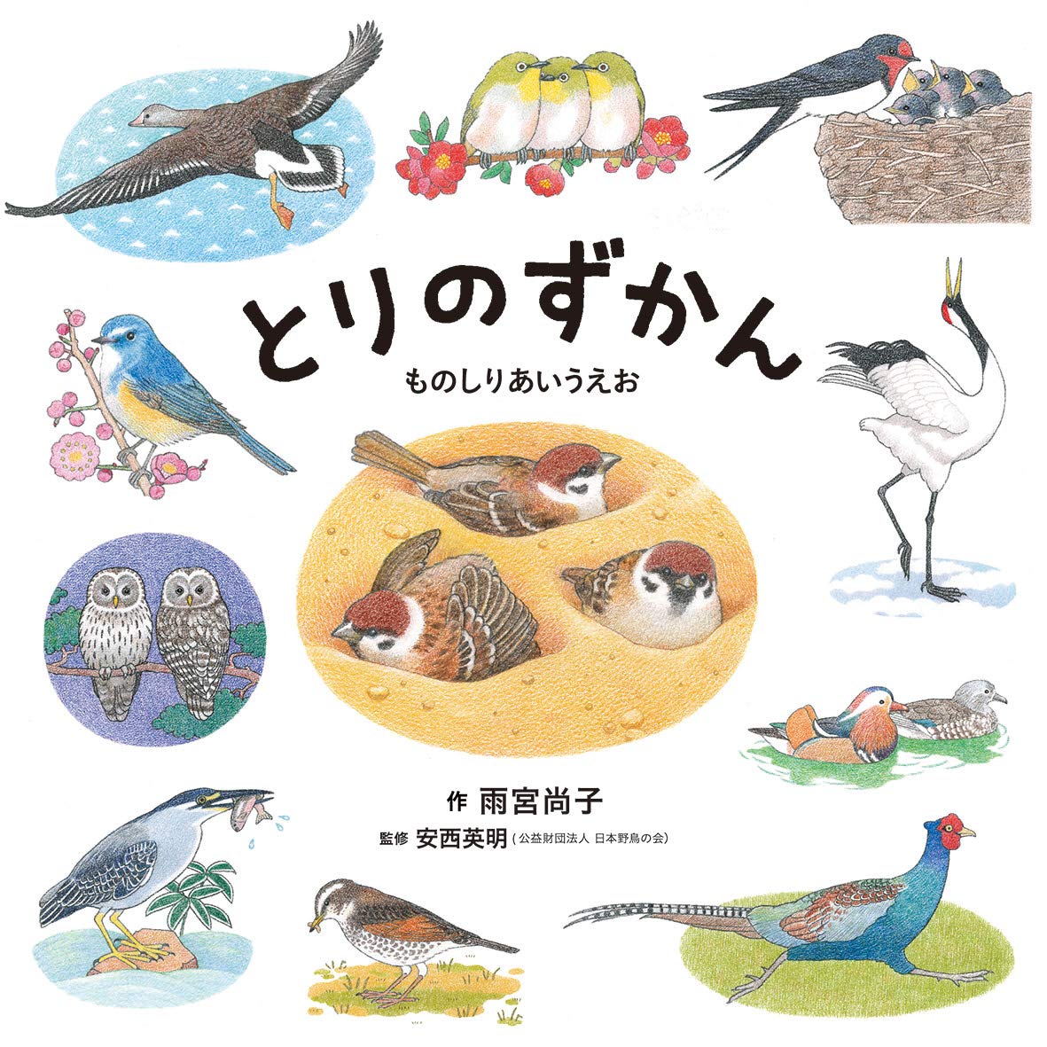 日曜日の絵本】野鳥観察したくなる！大人も楽しい『とりのずかん
