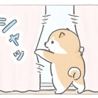 【四コマ漫画】vol.2「なかよし」｜おはよう！おしばと愉快な仲間たち