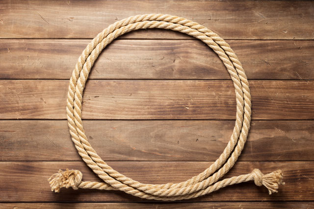 紐 を1単語の英語で言うと 朝時間 Jp 紐 を1単語の英語で言うと 朝時間 Jp