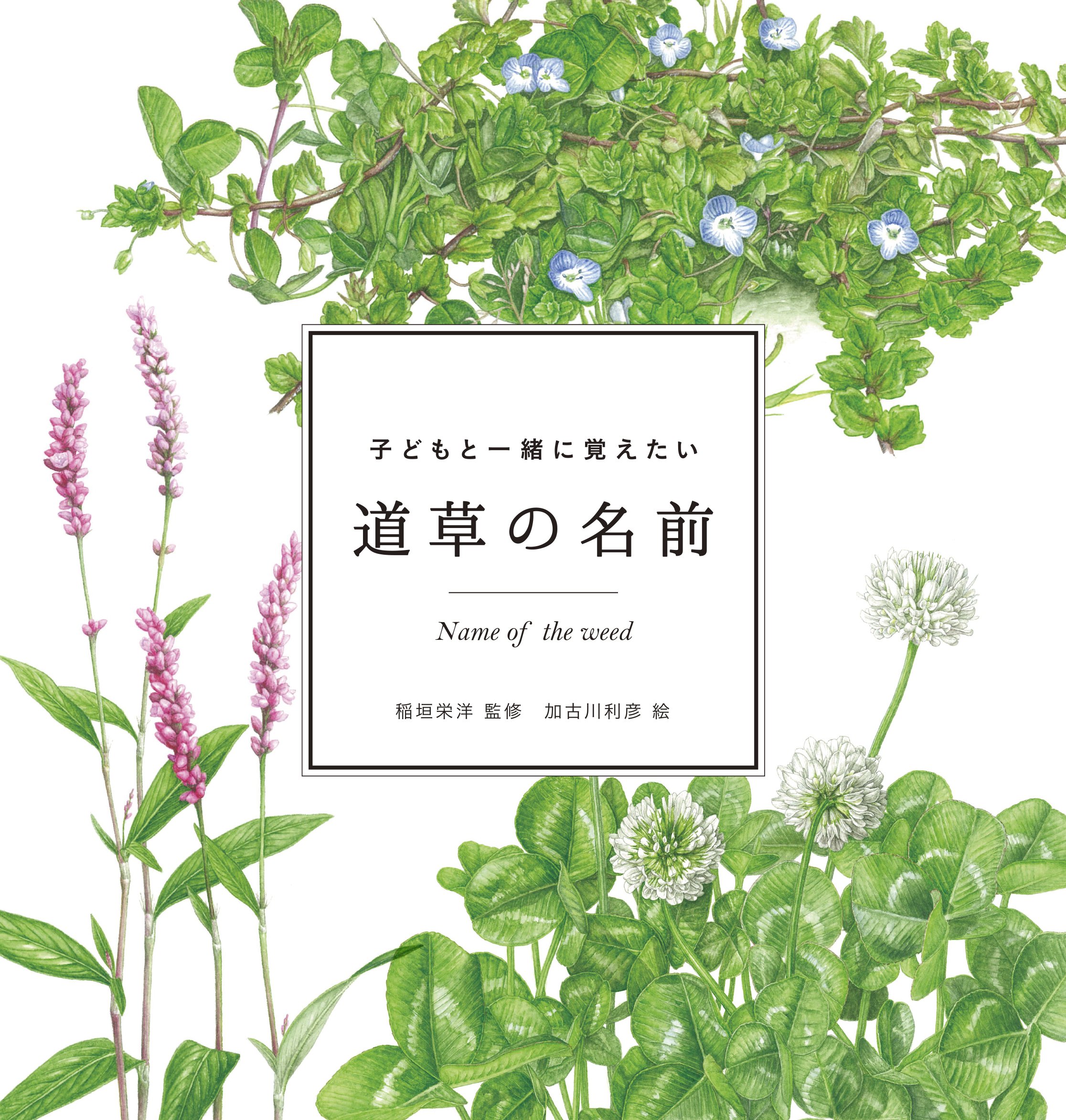 スローな朝の読書にオススメ 子どもと一緒に覚えたい 道草の名前 朝時間 Jp