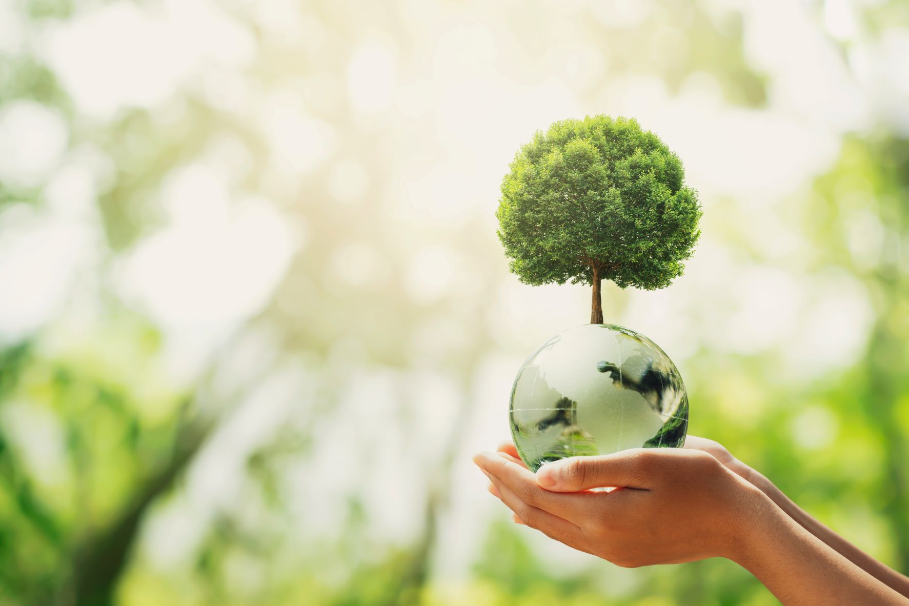 英語「サステナブル（Sustainable）」の意味って？
