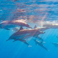 「水族館」を英語で言うと？