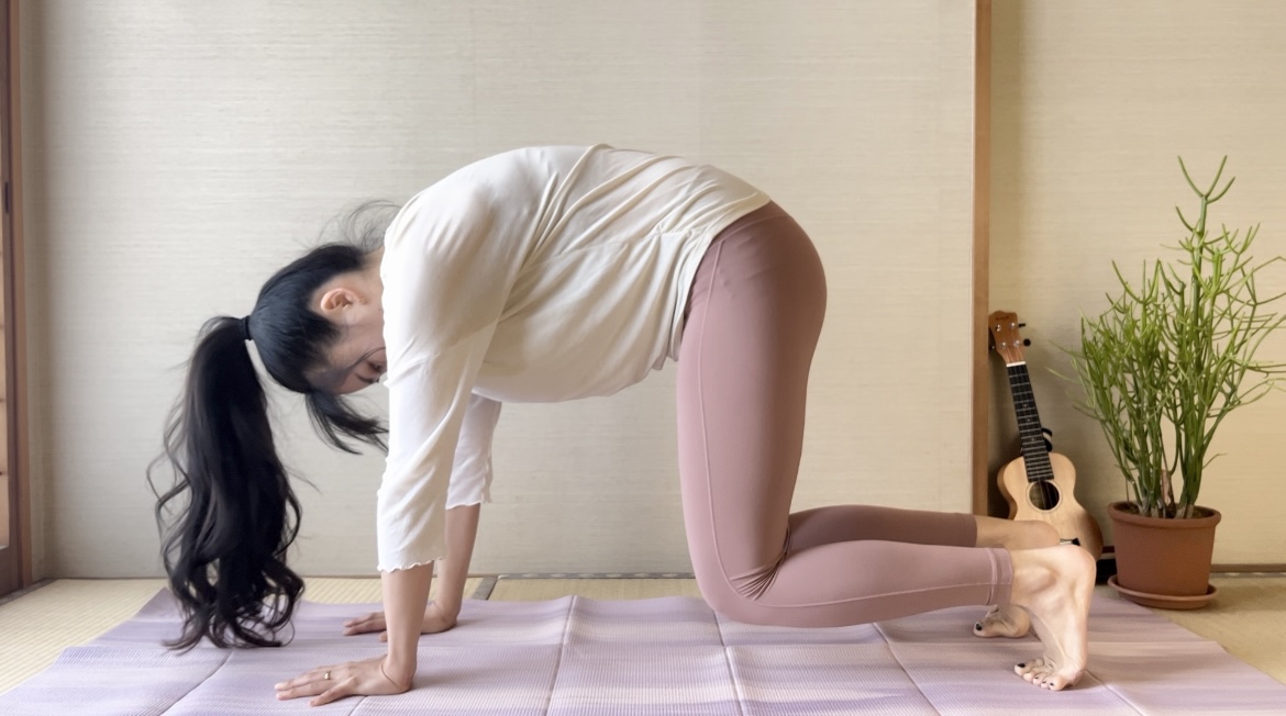 たった5回でOK!「全身痩せ」に効果的なピラティス「キャットストレッチ」