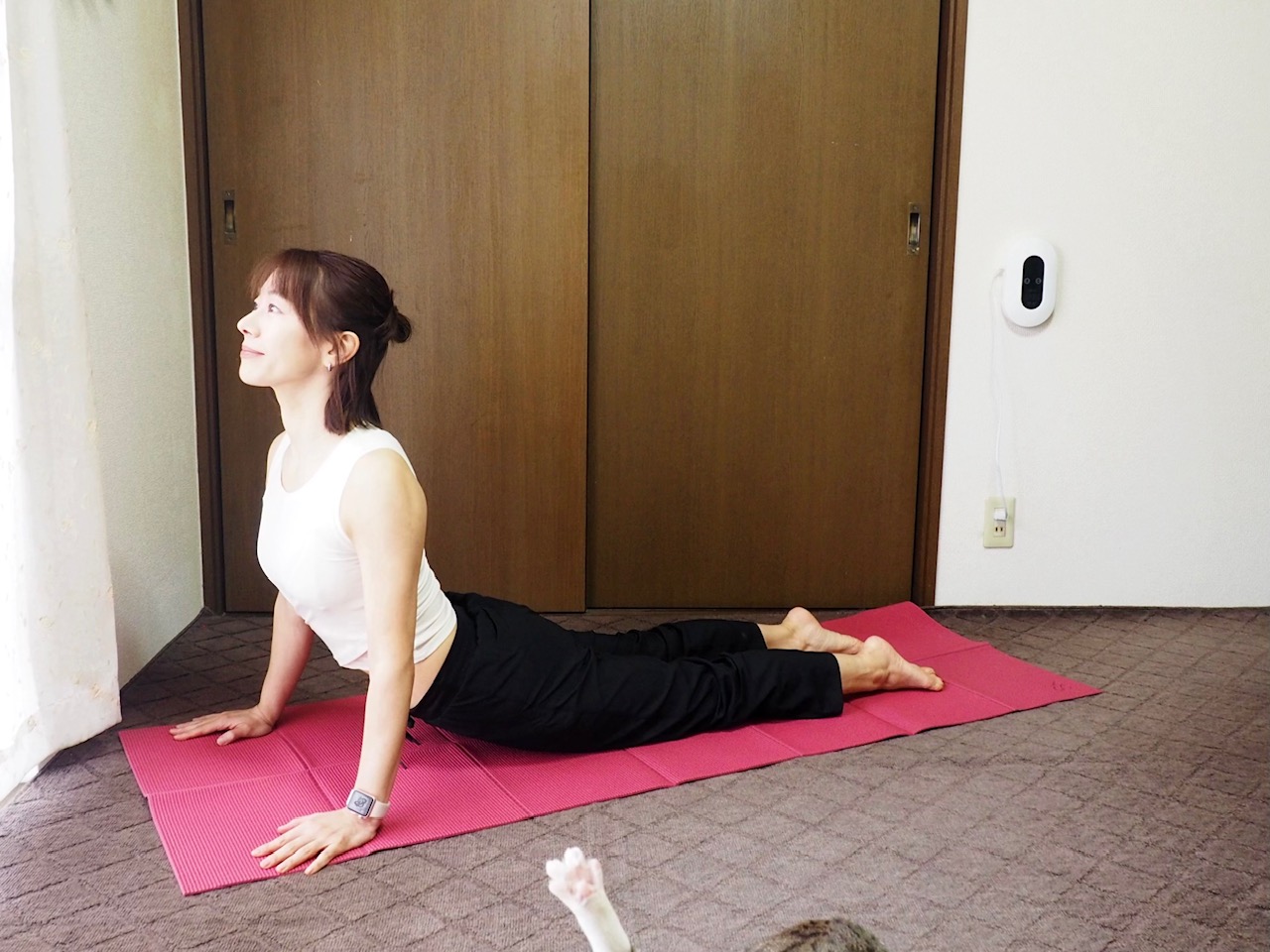 【新生活で早くも腰痛…】「背中～腰」をラクにするストレッチ