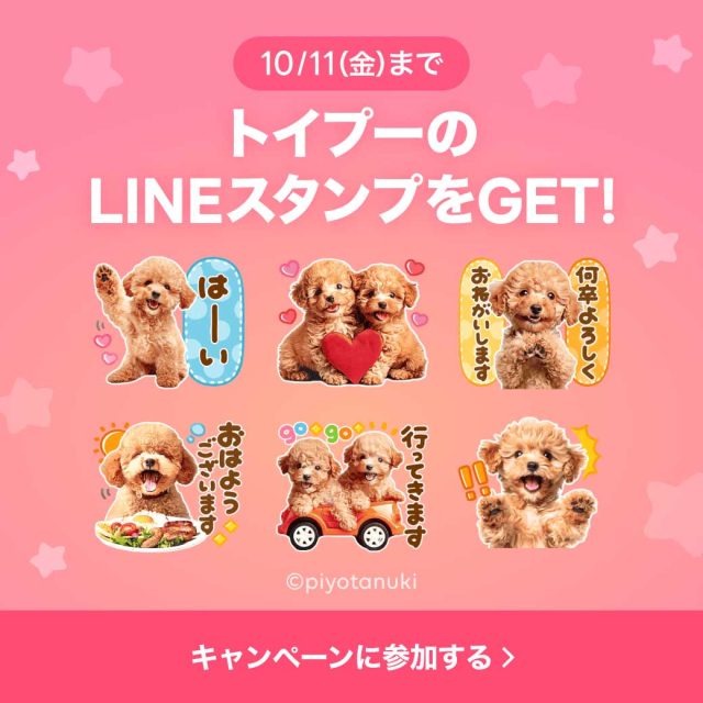 「トイプー×選べるニュース」LINEスタンププレゼントキャンペーン