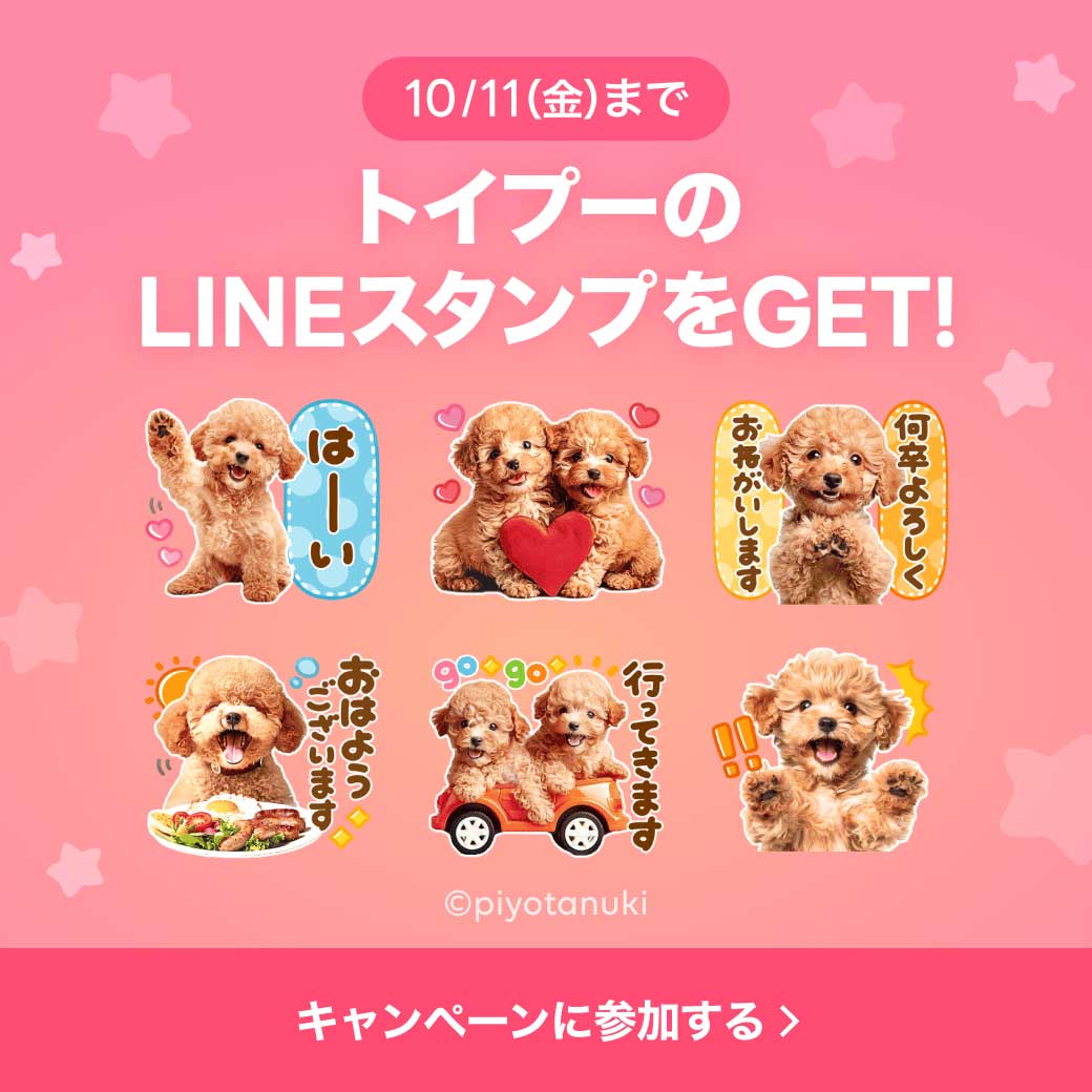 「トイプー×選べるニュース」LINEスタンププレゼントキャンペーン実施中!【10/11まで期間限定】