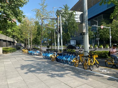 上海の自転車置き場