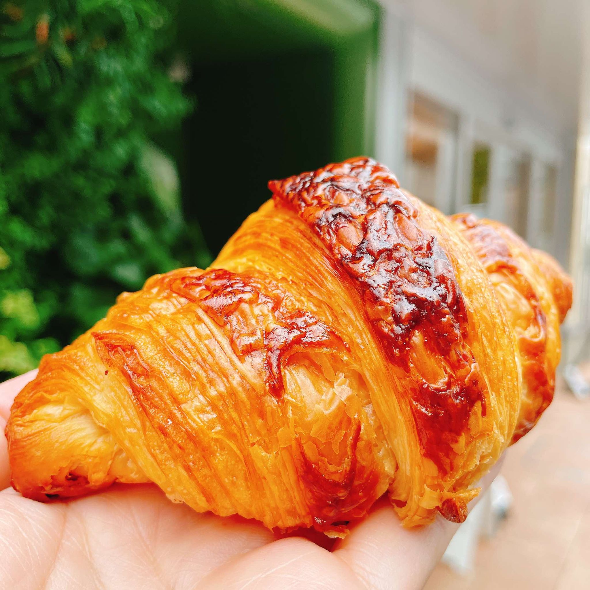 東京・清澄白河】8時半オープン！リバーサイドのベーカリーで焼きたて