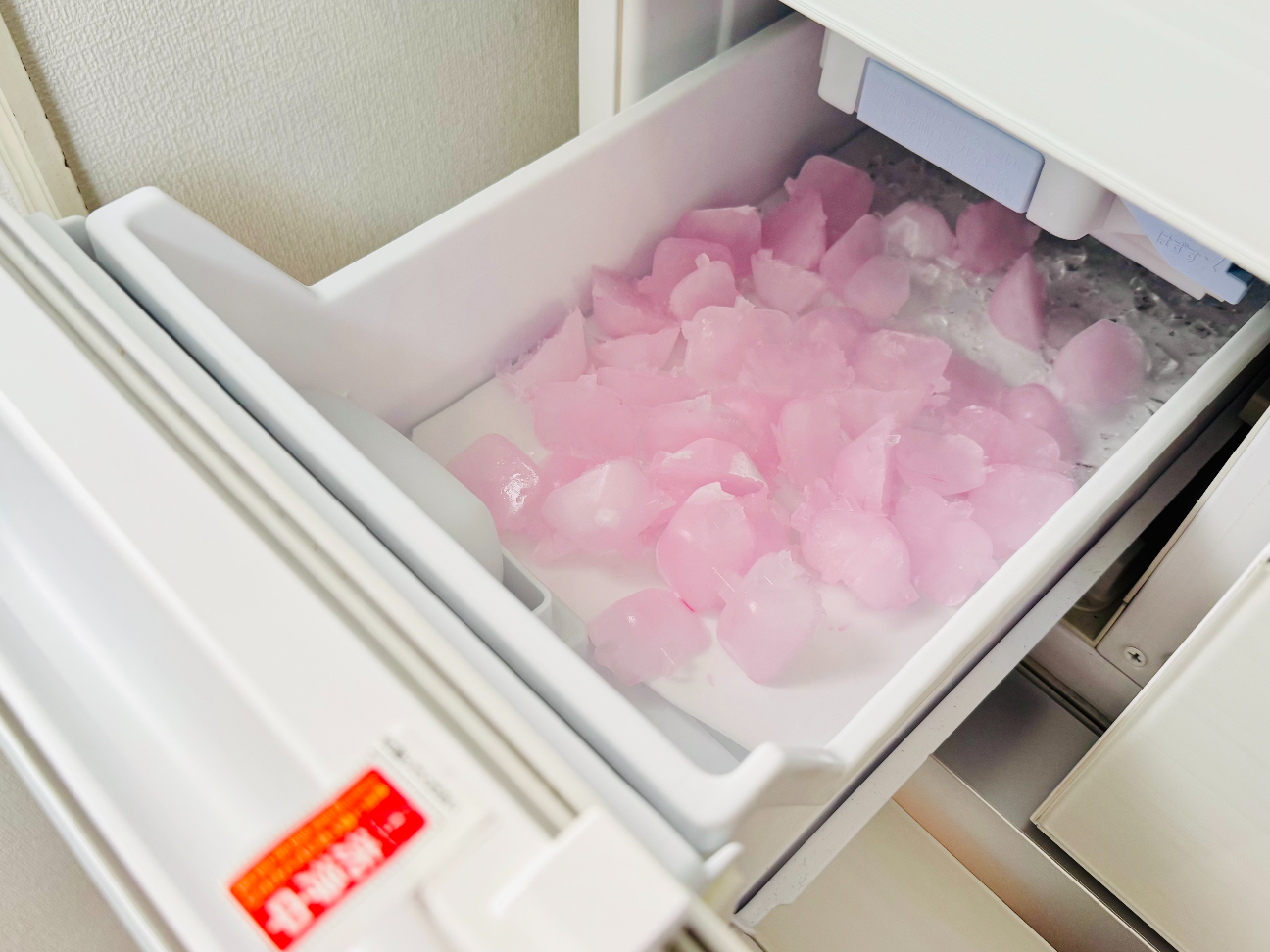 製氷機にカビ！？掃除のプロが「4月中にやっておきたい春掃除」2つ