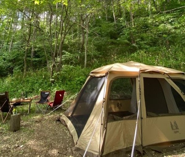 森に張ったテント