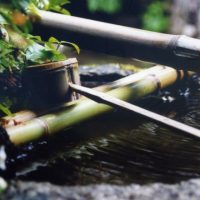 8/18は「やまとことばの日」！夏の季語を探してみませんか？