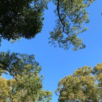 ランニング歴9年目！暑い夏でも「朝ランニング」を楽しむ工夫4つ