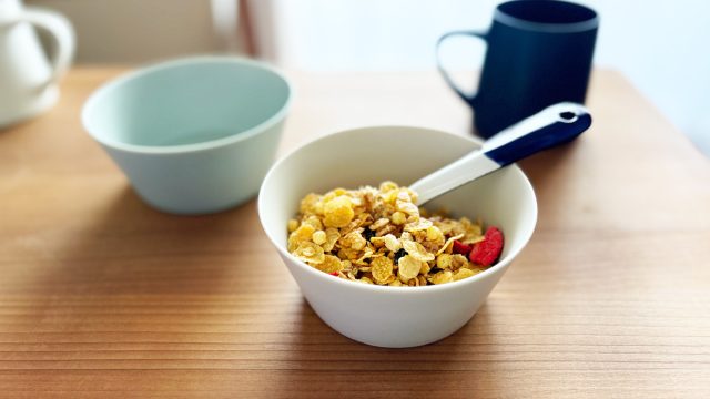 KANEAKI SAKAI POTTERY / 美濃焼 / flat bowl 12cm【蔵出し品・訳あり】