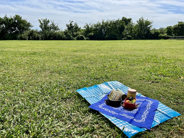 公園でピクニック