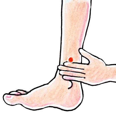 三陰交（さんいんこう）